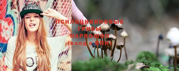 Альфа ПВП Балабаново