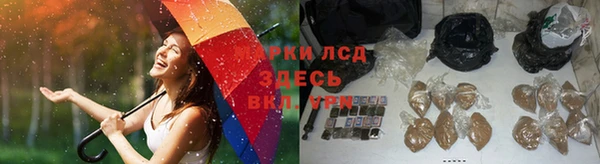экстази Баксан