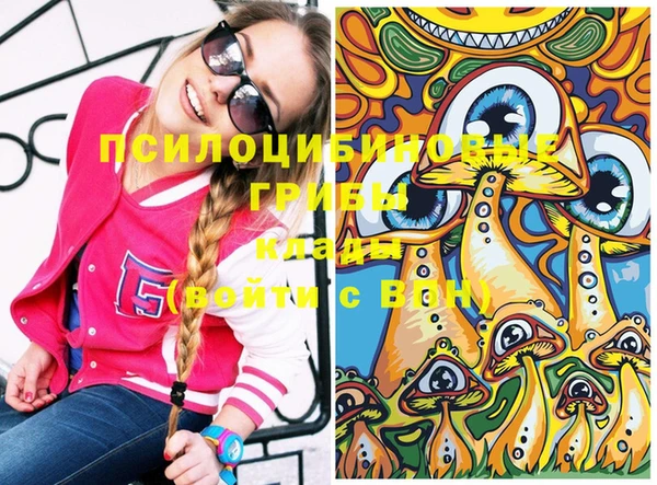 стаф Балахна