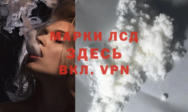 стаф Балахна