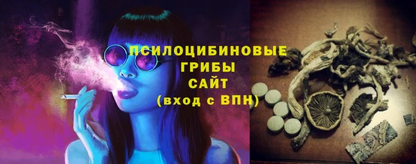 стаф Балахна